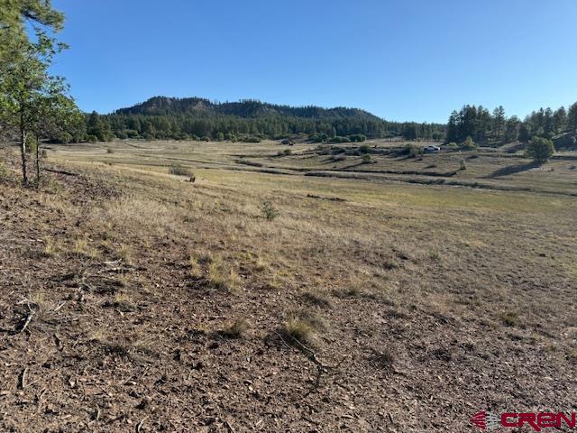 980 Catchpole Drive Pagosa Springs CO 81147