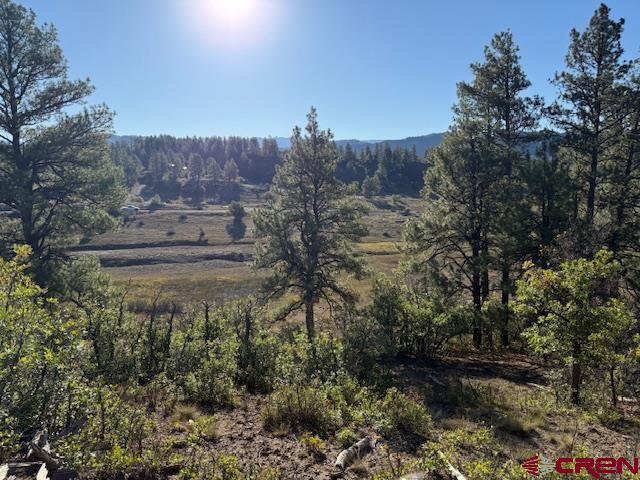 980 Catchpole Drive Pagosa Springs CO 81147