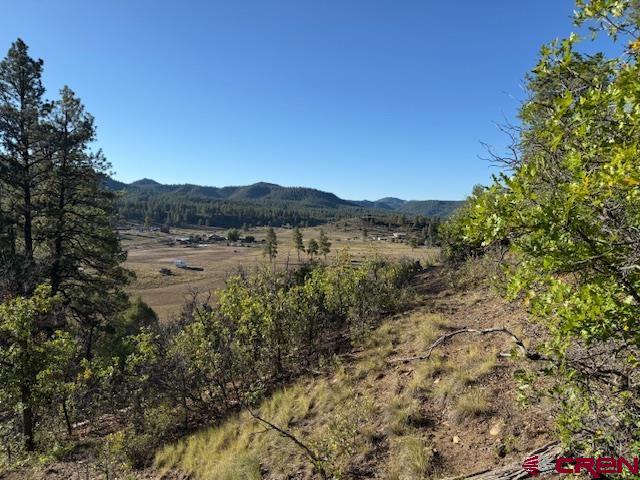 980 Catchpole Drive Pagosa Springs CO 81147