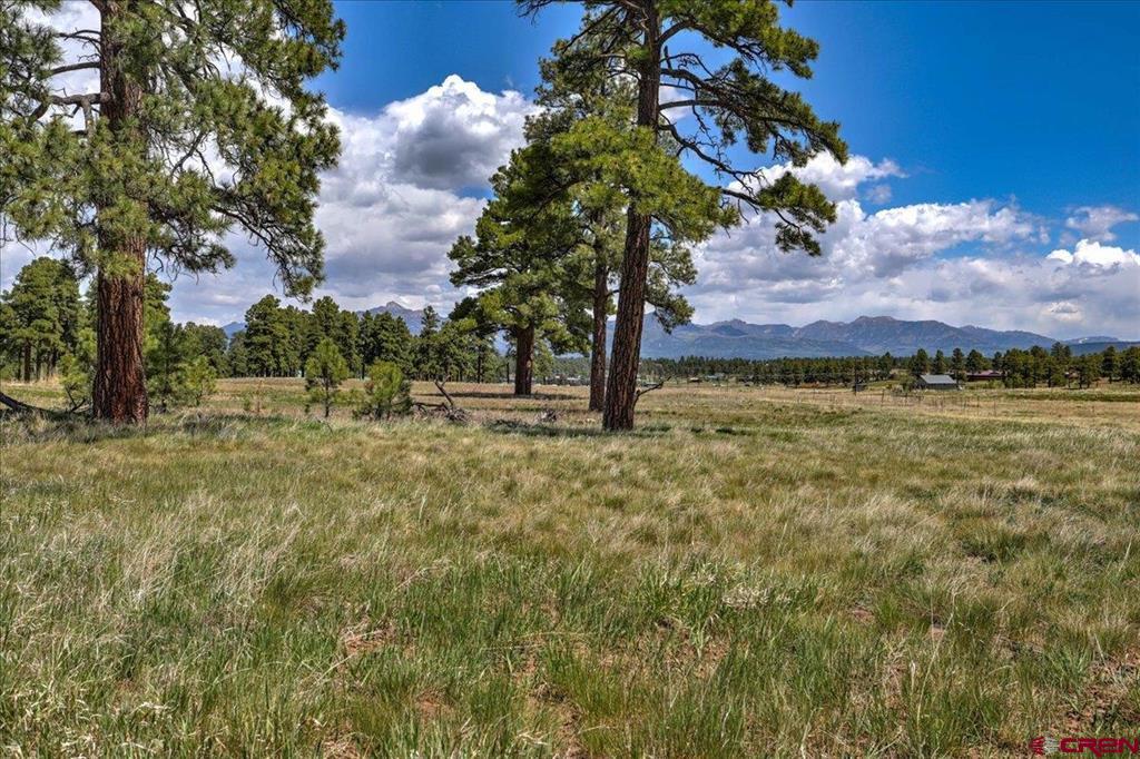 136 Vista San Juan Pagosa Springs CO 81147