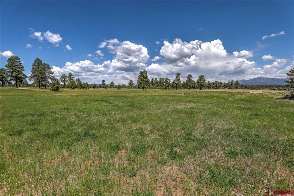 136 Vista San Juan Pagosa Springs CO 81147