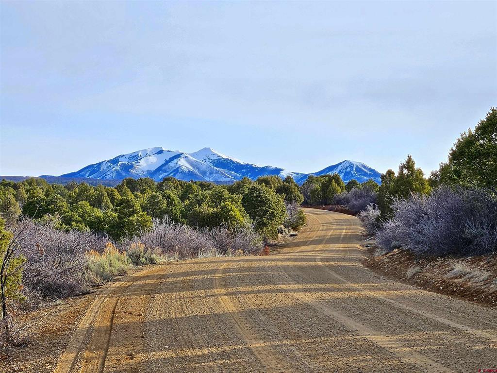 Tbd De Oro Way Lot 9 Hesperus CO 81326