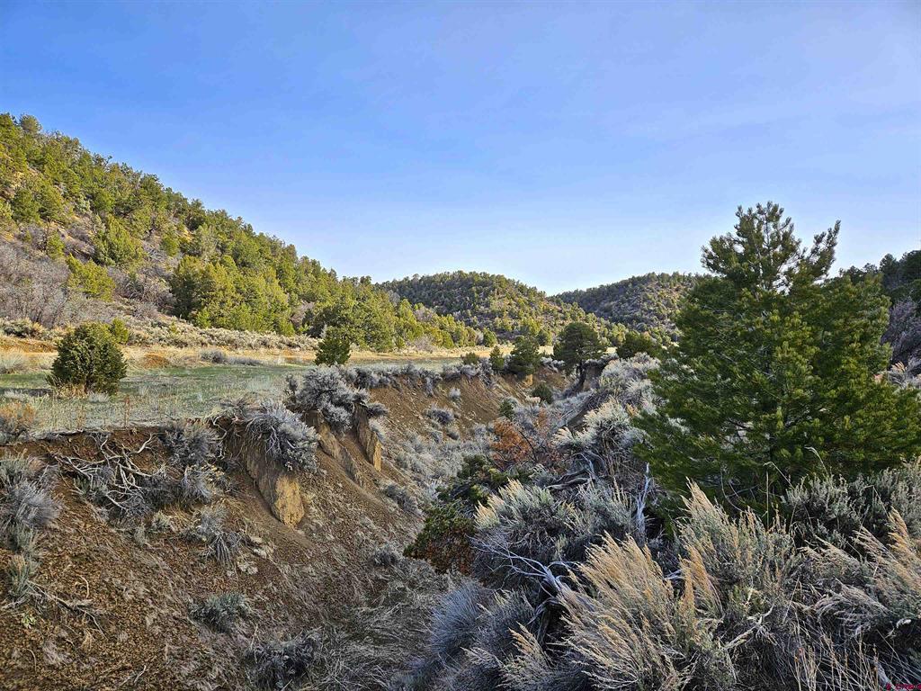 Tbd De Oro Way Lot 9 Hesperus CO 81326