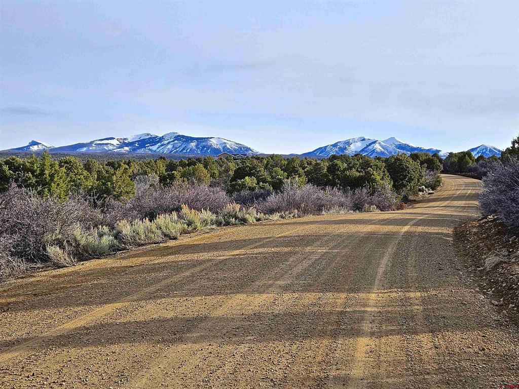 Tbd De Oro Way Lot 9 Hesperus CO 81326