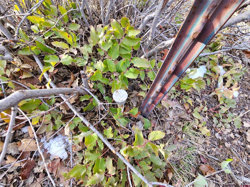 Tbd De Oro Way Lot 9 Hesperus CO 81326