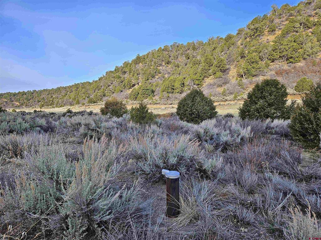 Tbd De Oro Way Lot 9 Hesperus CO 81326