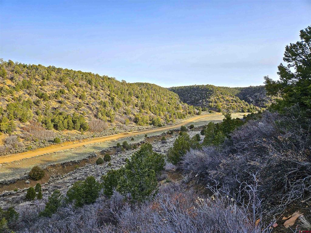 Tbd De Oro Way Lot 9 Hesperus CO 81326