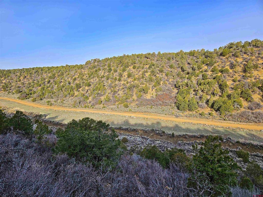 Tbd De Oro Way Lot 9 Hesperus CO 81326