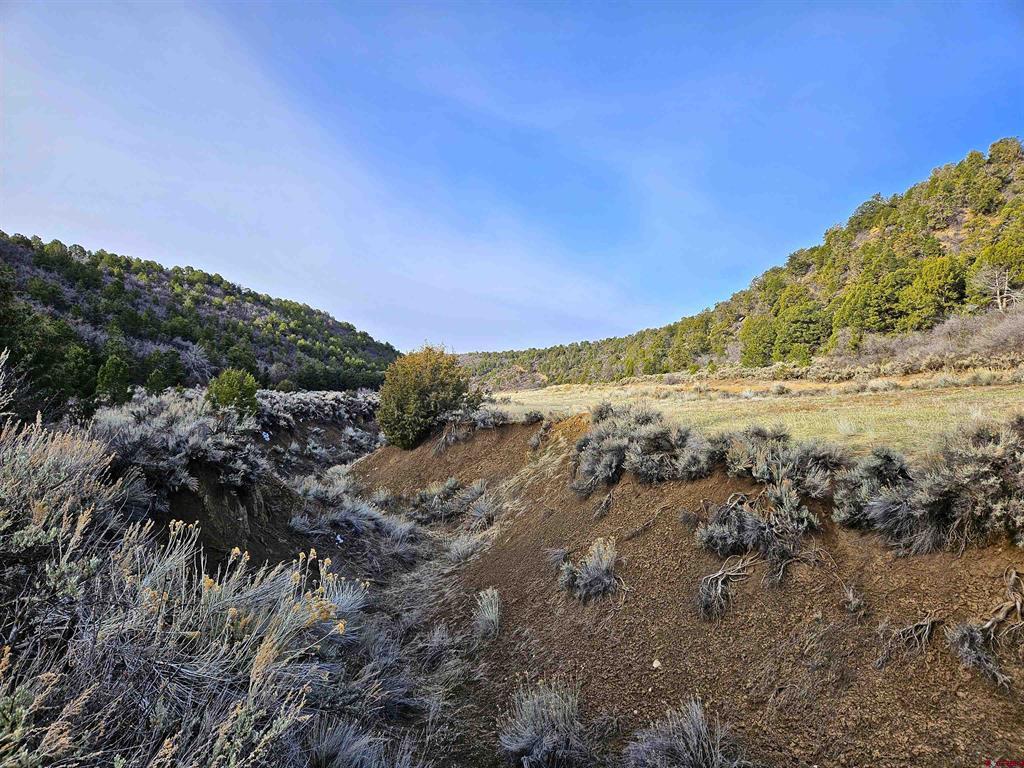 Tbd De Oro Way Lot 9 Hesperus CO 81326