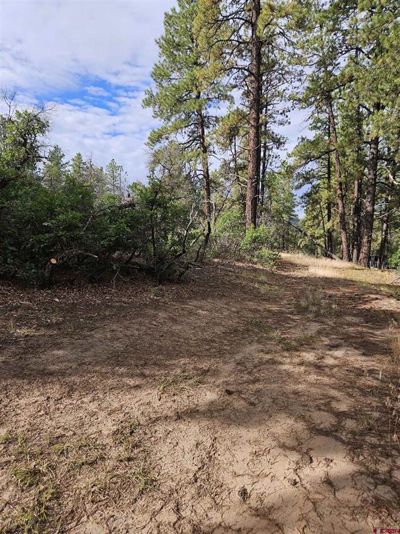 53 Crooked Road Pagosa Springs CO 81147
