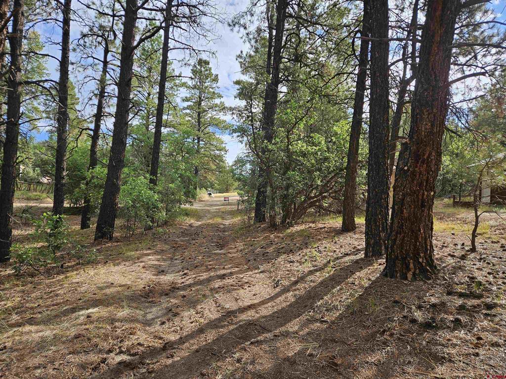 53 Crooked Road Pagosa Springs CO 81147