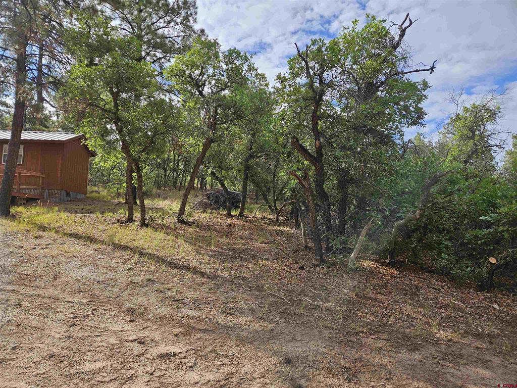 53 Crooked Road Pagosa Springs CO 81147