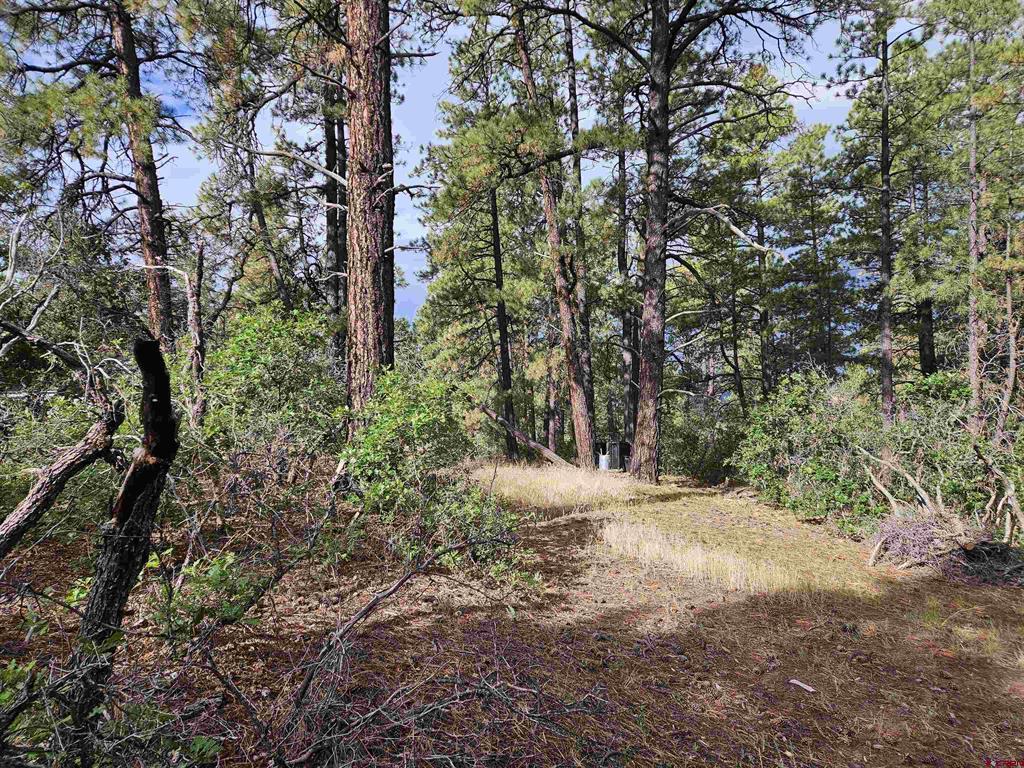 53 Crooked Road Pagosa Springs CO 81147
