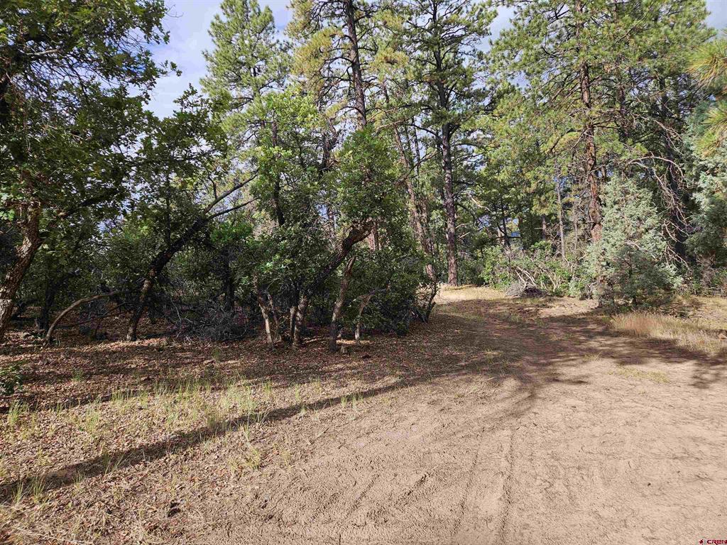 53 Crooked Road Pagosa Springs CO 81147