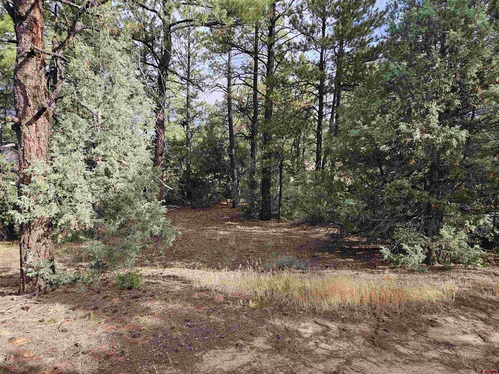 53 Crooked Road Pagosa Springs CO 81147
