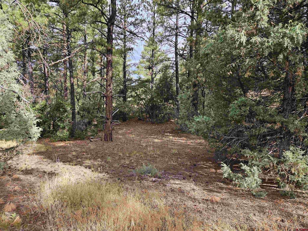 53 Crooked Road Pagosa Springs CO 81147