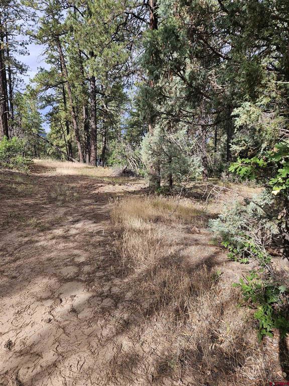 53 Crooked Road Pagosa Springs CO 81147