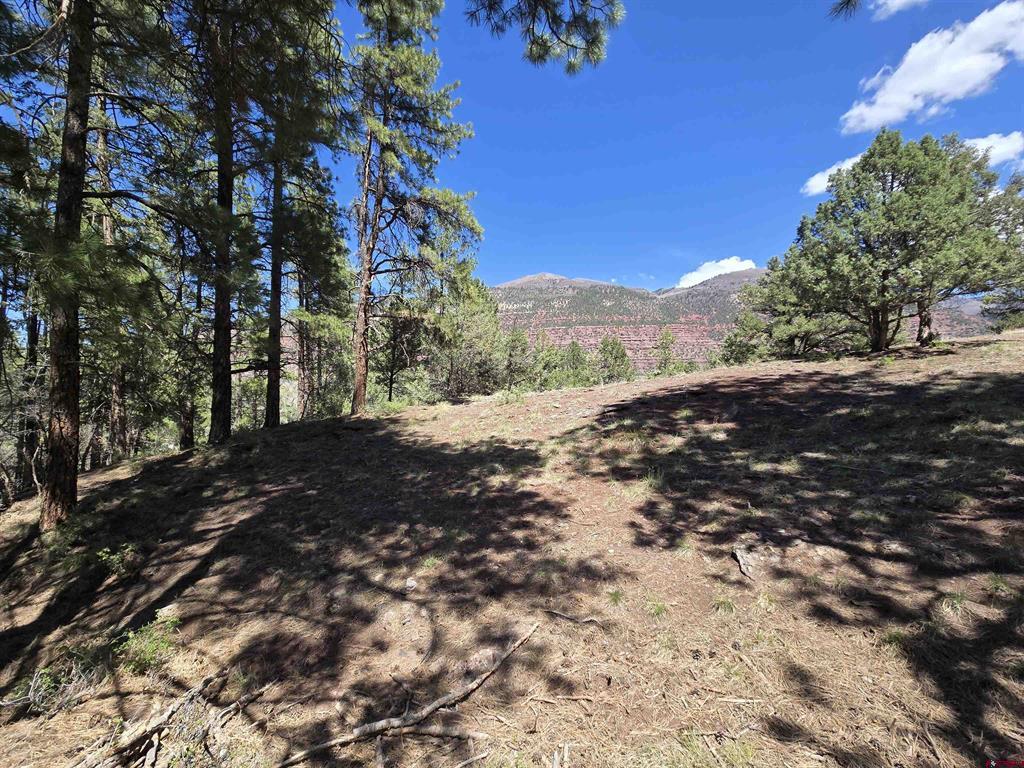 238 Pine Ridge Drive Ridgway CO 81432