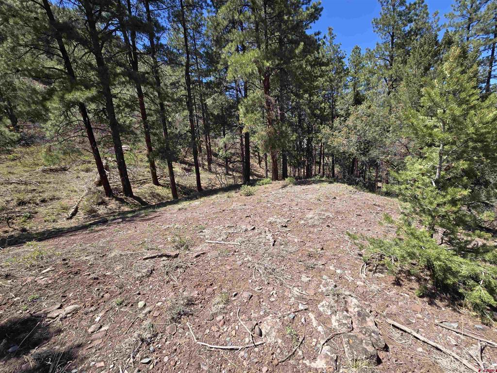 238 Pine Ridge Drive Ridgway CO 81432