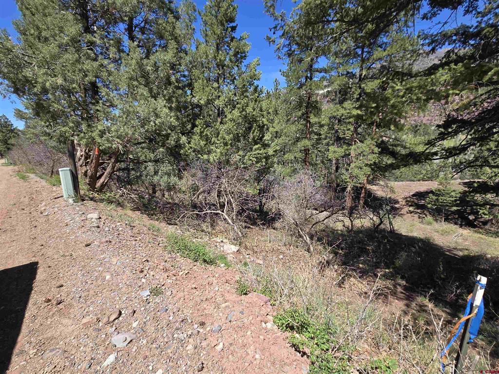 238 Pine Ridge Drive Ridgway CO 81432