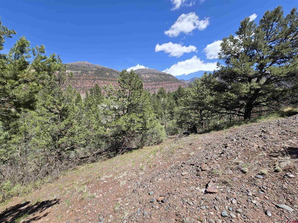 238 Pine Ridge Drive Ridgway CO 81432
