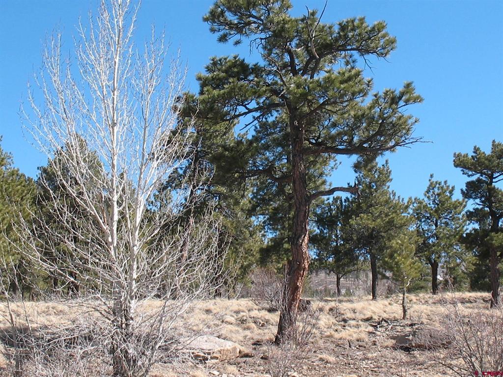190 Church Creek Circle South Fork CO 81154