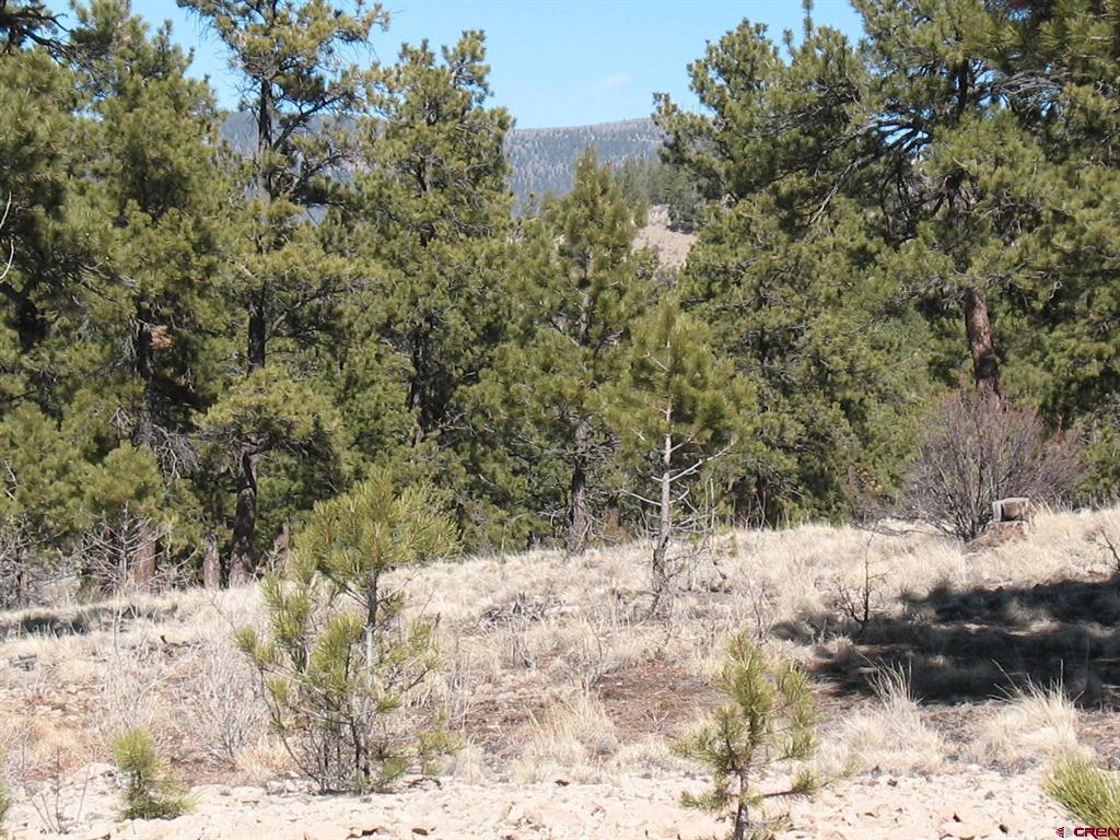 190 Church Creek Circle South Fork CO 81154
