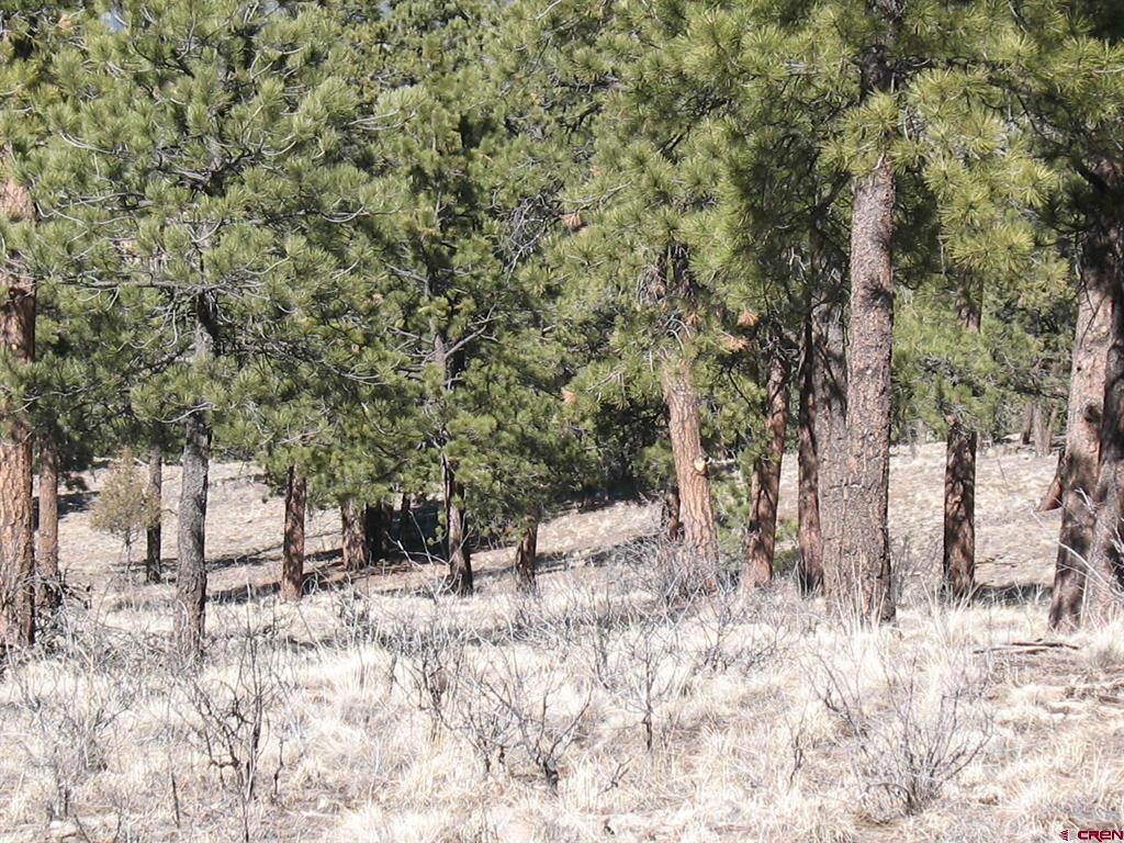 190 Church Creek Circle South Fork CO 81154