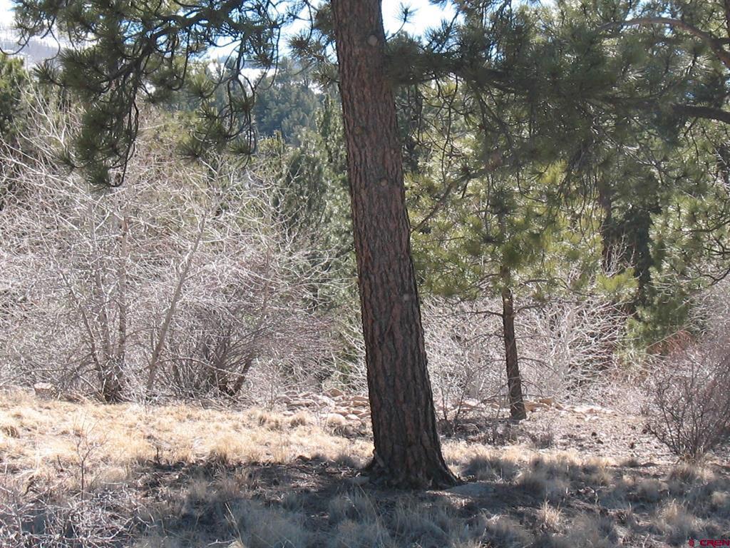 190 Church Creek Circle South Fork CO 81154