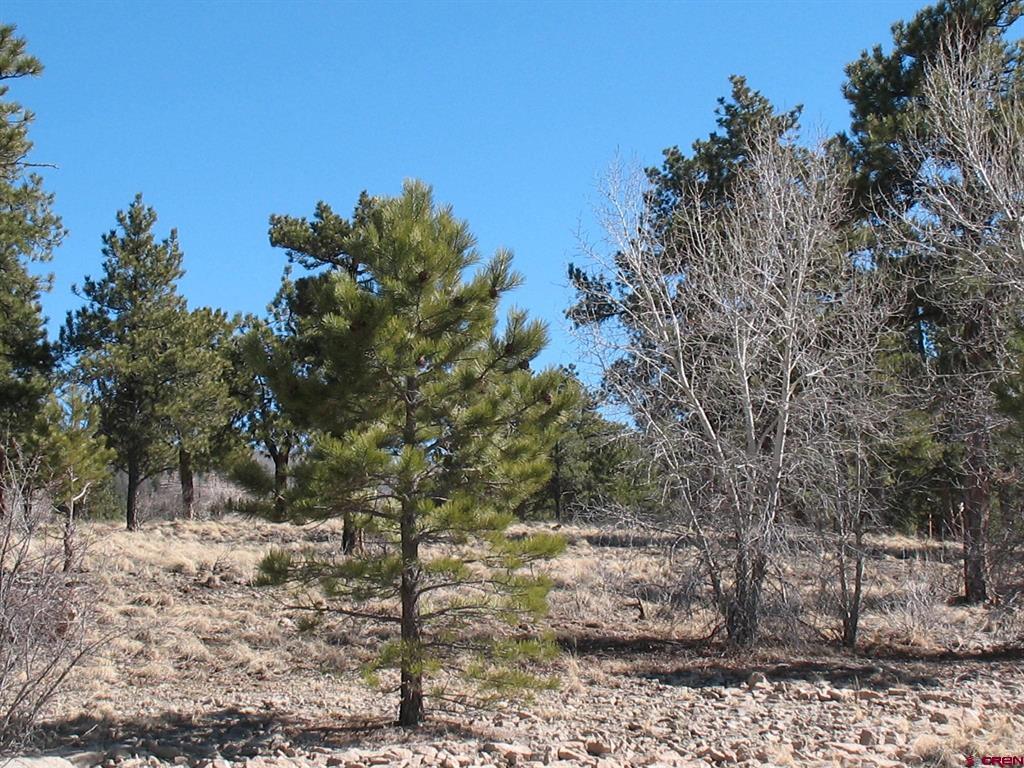 190 Church Creek Circle South Fork CO 81154