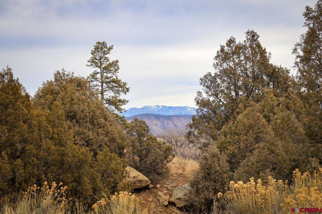 X County Road 500 Pagosa Springs CO 81147