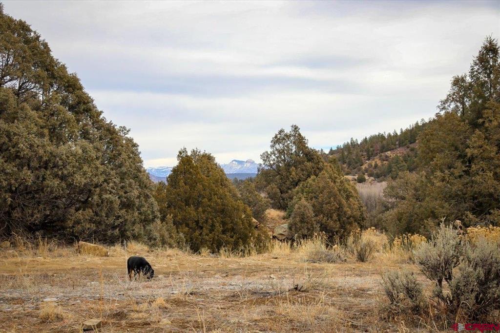X County Road 500 Pagosa Springs CO 81147