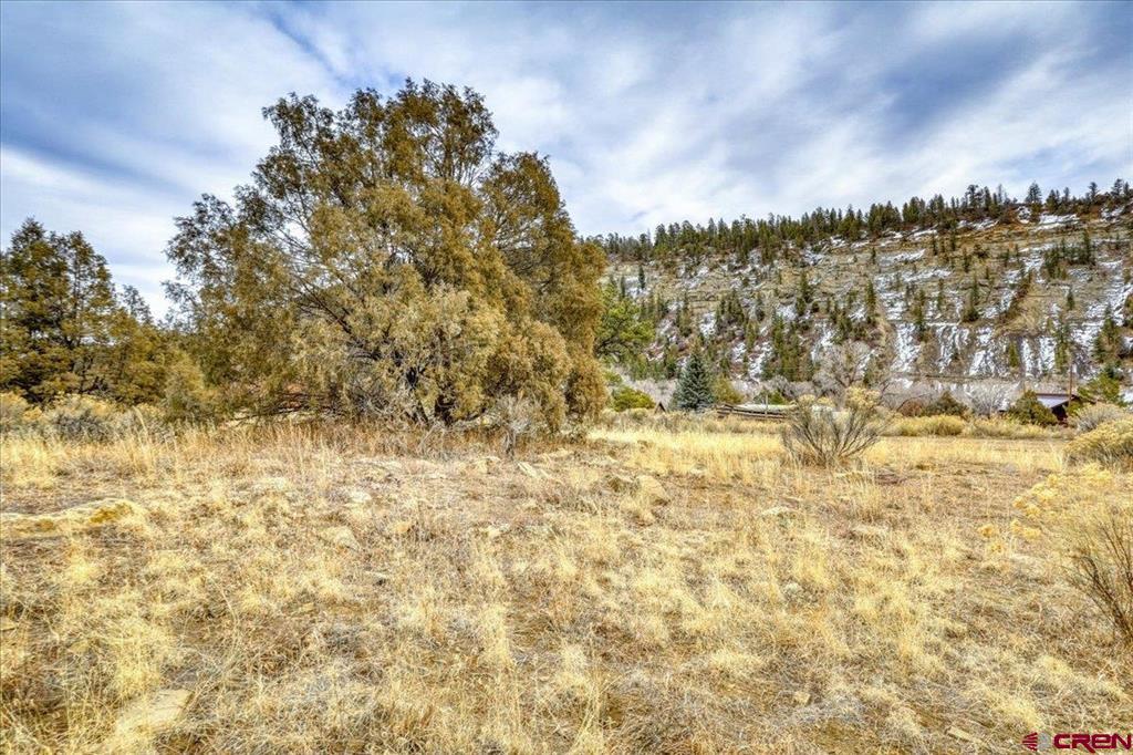 X County Road 500 Pagosa Springs CO 81147