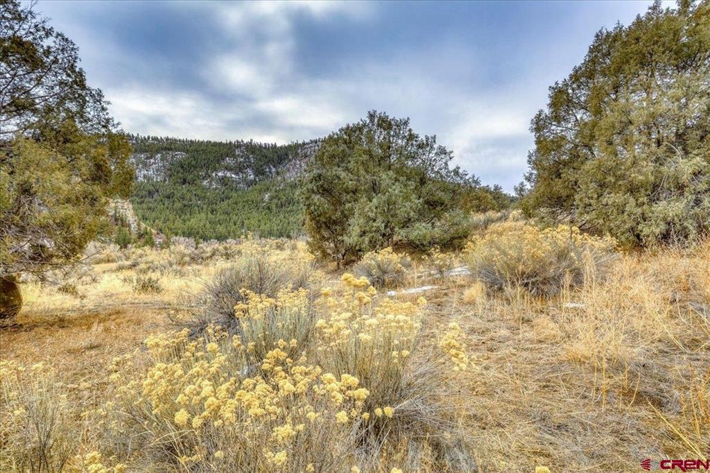 X County Road 500 Pagosa Springs CO 81147