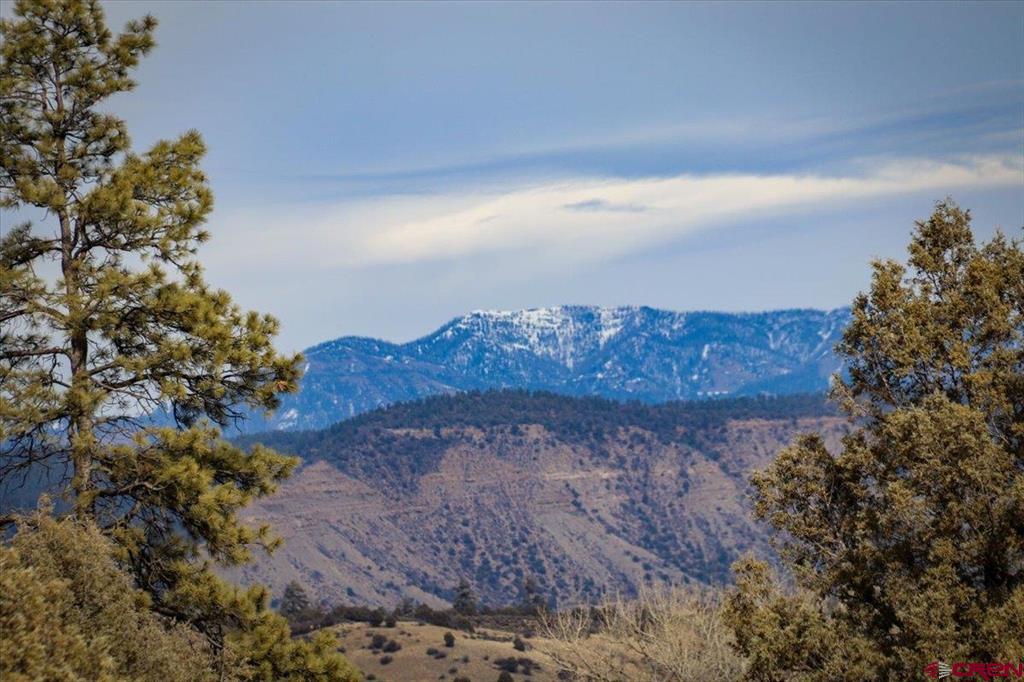 X County Road 500 Pagosa Springs CO 81147