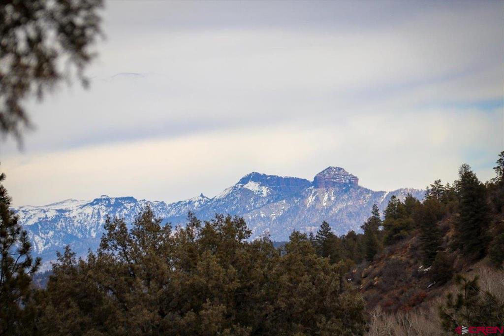 X County Road 500 Pagosa Springs CO 81147