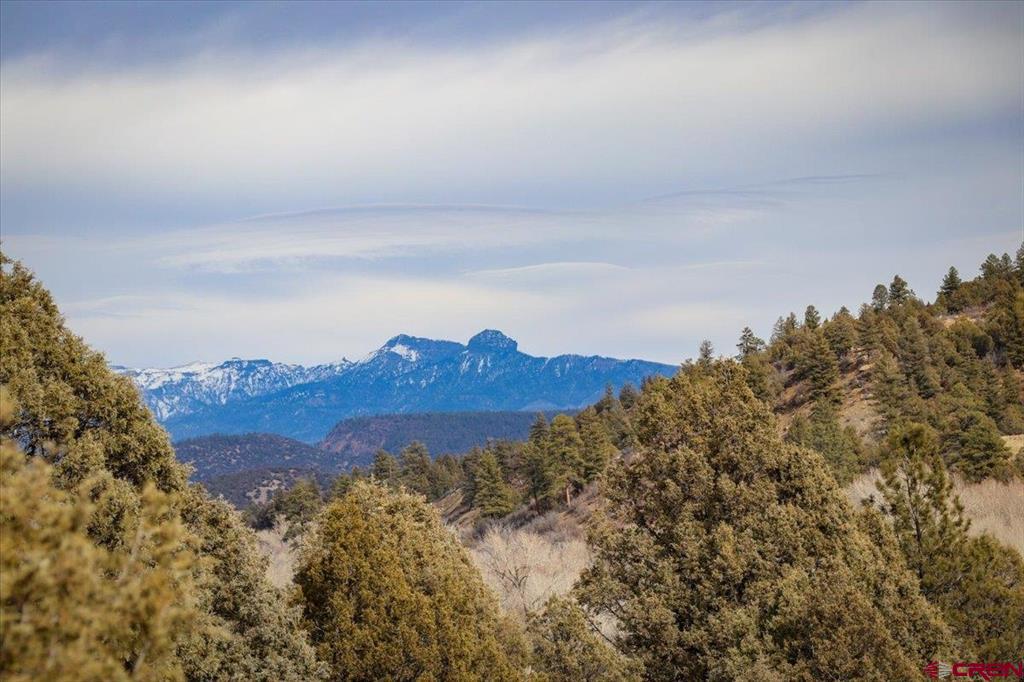 X County Road 500 Pagosa Springs CO 81147
