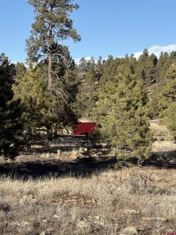 77 Bonita Drive Pagosa Springs CO 81147