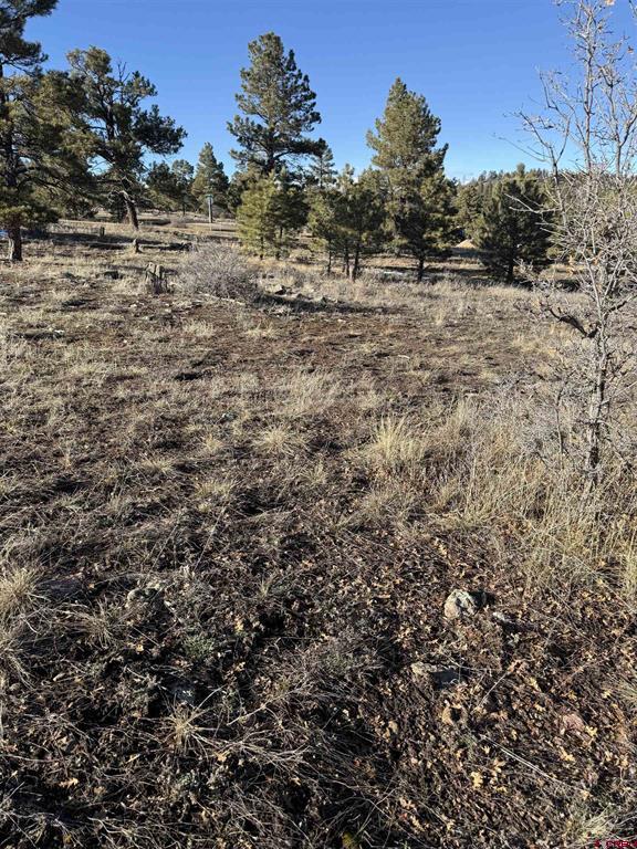 77 Bonita Drive Pagosa Springs CO 81147