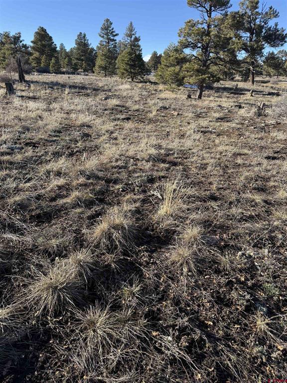 77 Bonita Drive Pagosa Springs CO 81147