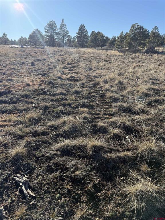 77 Bonita Drive Pagosa Springs CO 81147