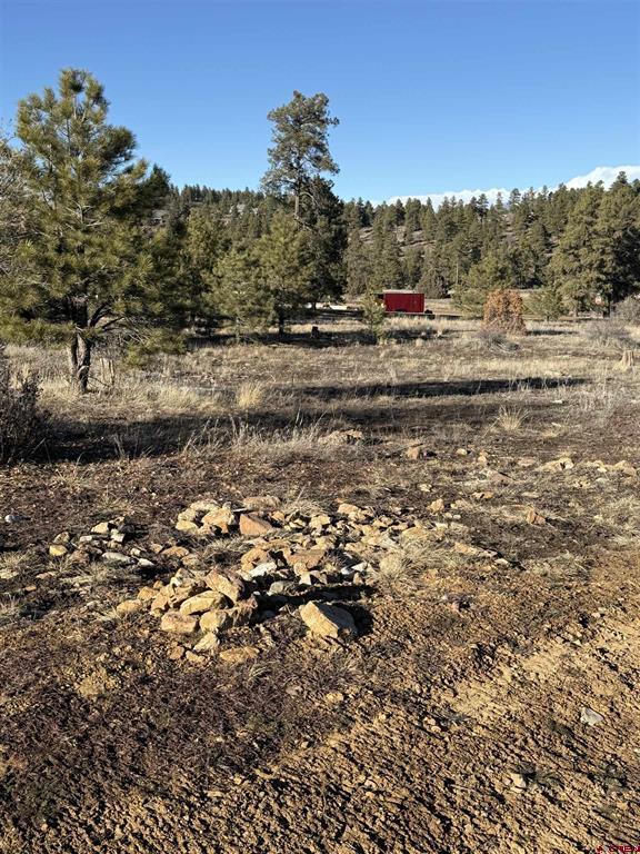 77 Bonita Drive Pagosa Springs CO 81147