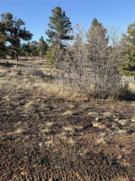 77 Bonita Drive Pagosa Springs CO 81147