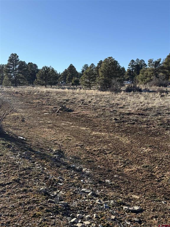 77 Bonita Drive Pagosa Springs CO 81147