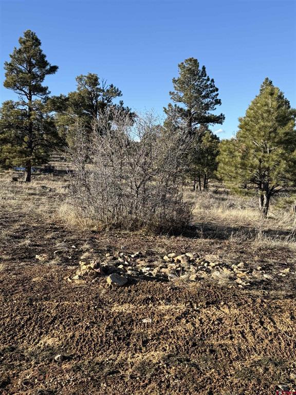 77 Bonita Drive Pagosa Springs CO 81147