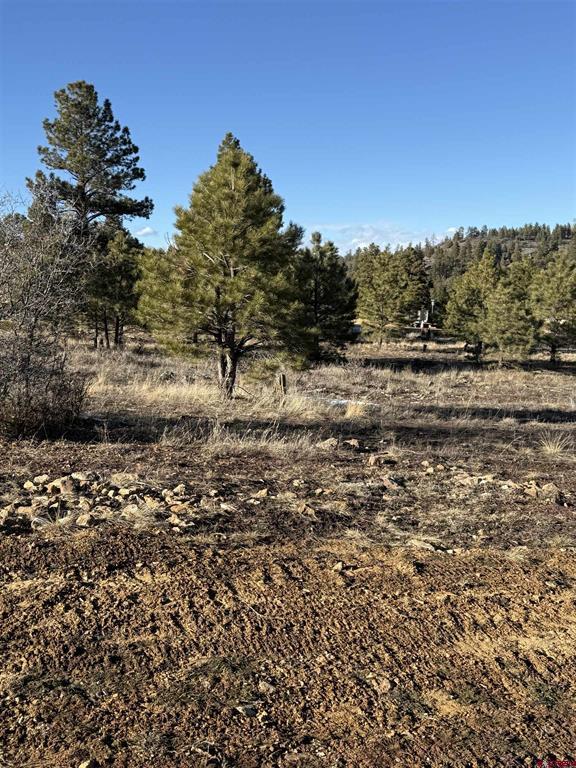 77 Bonita Drive Pagosa Springs CO 81147