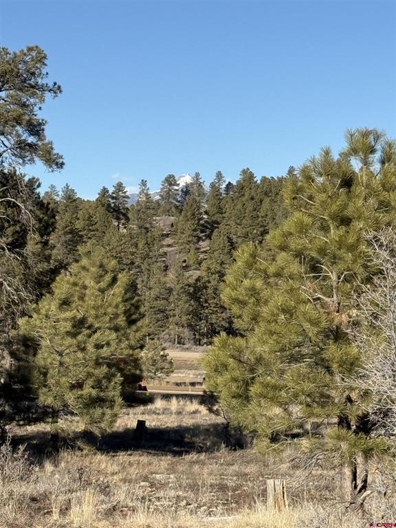 77 Bonita Drive Pagosa Springs CO 81147