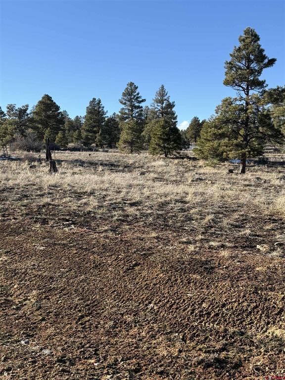 77 Bonita Drive Pagosa Springs CO 81147