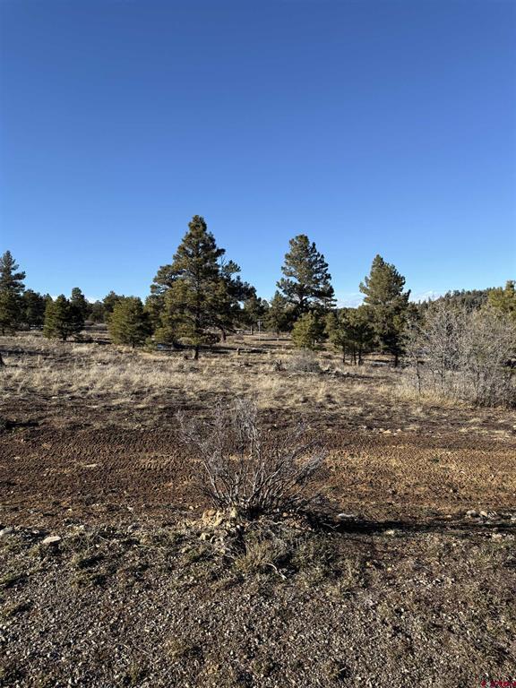 77 Bonita Drive Pagosa Springs CO 81147