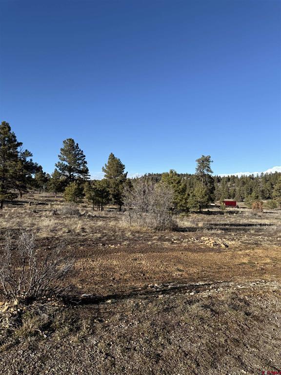 77 Bonita Drive Pagosa Springs CO 81147